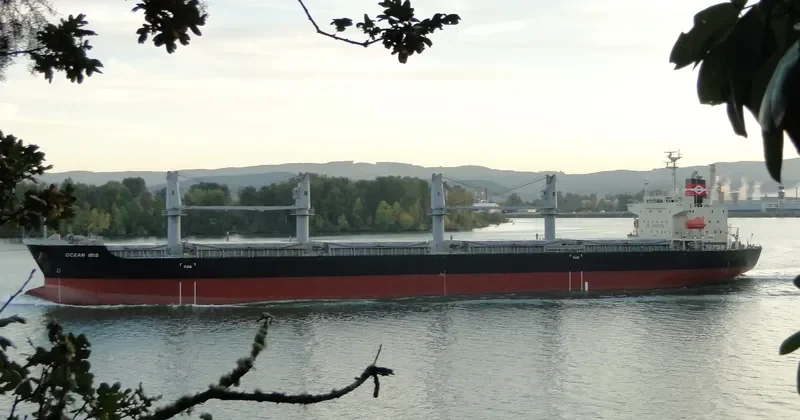 OCEAN IBIS Bulk Carrier IMO 9685619 photo 5