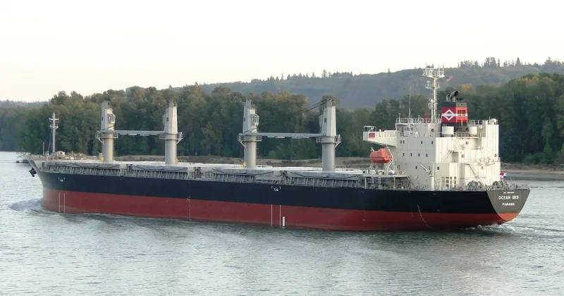 OCEAN IBIS Bulk Carrier IMO 9685619 photo 7