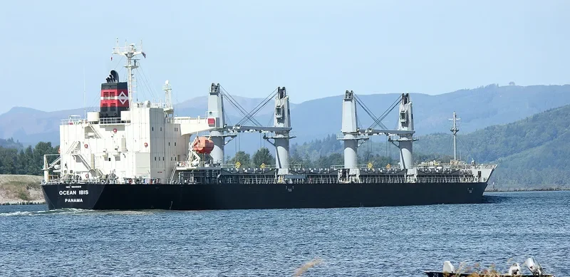 OCEAN IBIS Bulk Carrier IMO 9685619 photo 8