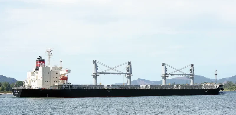 OCEAN IBIS Bulk Carrier IMO 9685619 photo 9