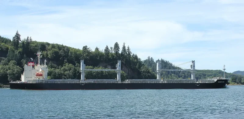 OCEAN IBIS Bulk Carrier IMO 9685619 photo 10