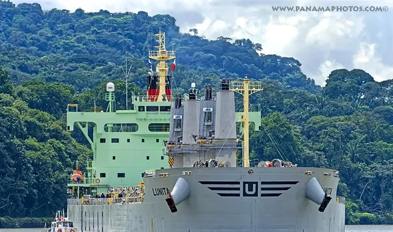 LUNITA Bulk Carrier IMO 9685621