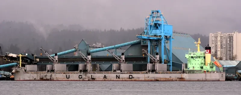 LUNITA Bulk Carrier IMO 9685621 photo 7