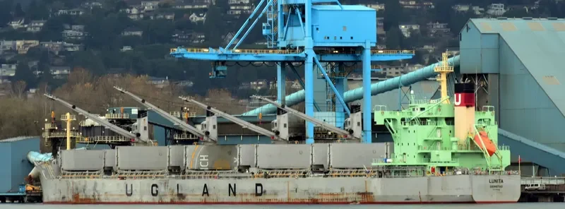 LUNITA Bulk Carrier IMO 9685621 photo 8
