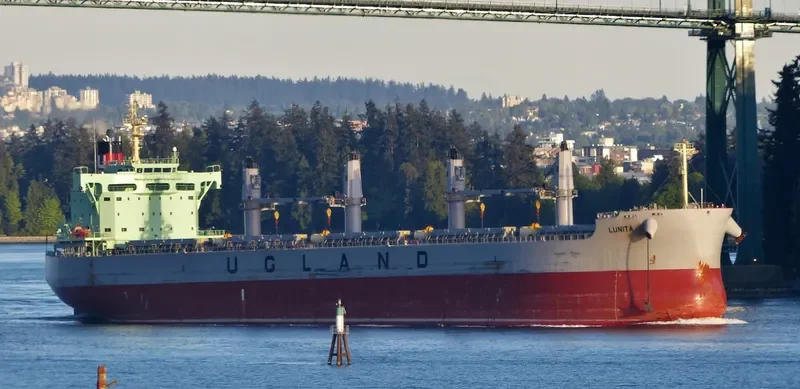 LUNITA Bulk Carrier IMO 9685621 photo 9