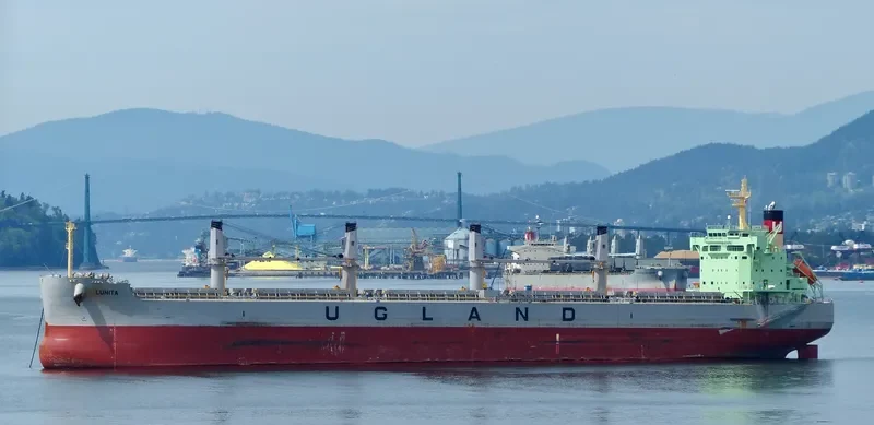 LUNITA Bulk Carrier IMO 9685621 photo 10