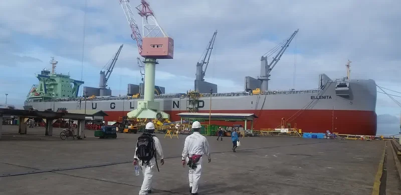 ELLENITA Bulk Carrier IMO 9685633