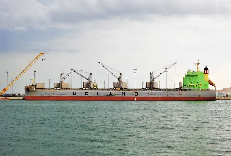 ELLENITA Bulk Carrier IMO 9685633 photo 2