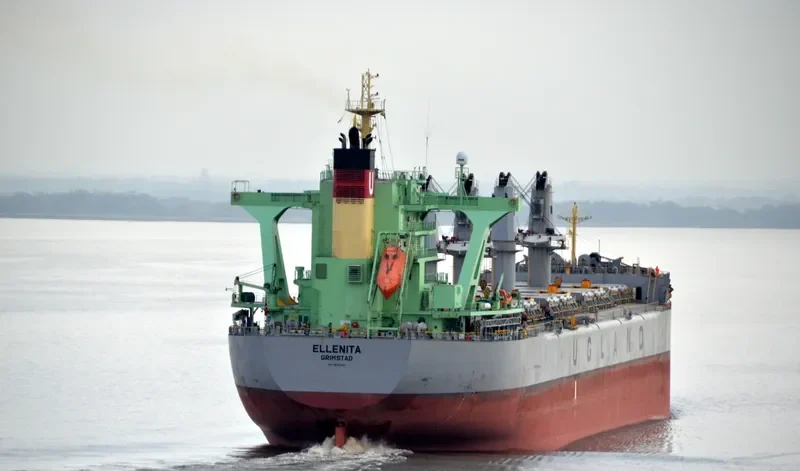 ELLENITA Bulk Carrier IMO 9685633 photo 4