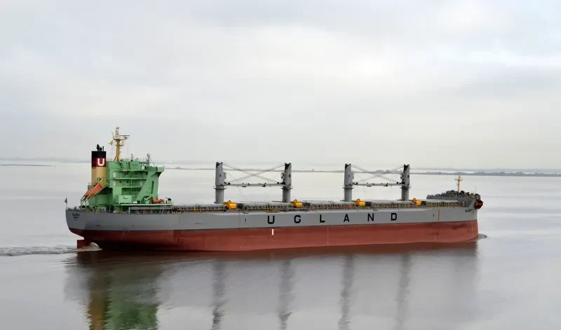 ELLENITA Bulk Carrier IMO 9685633 photo 5