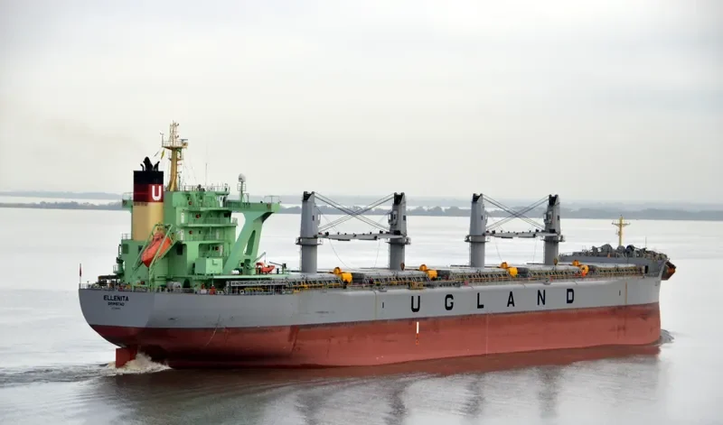 ELLENITA Bulk Carrier IMO 9685633 photo 6