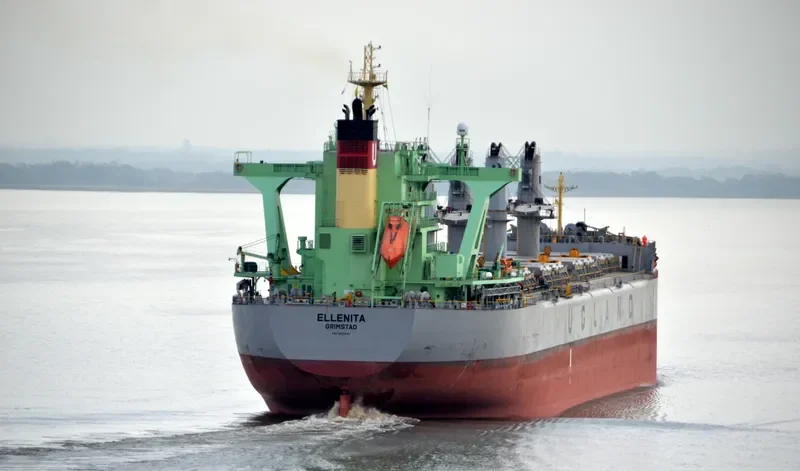 ELLENITA Bulk Carrier IMO 9685633 photo 7
