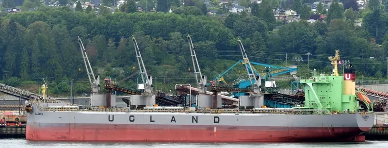 ELLENITA Bulk Carrier IMO 9685633 photo 8