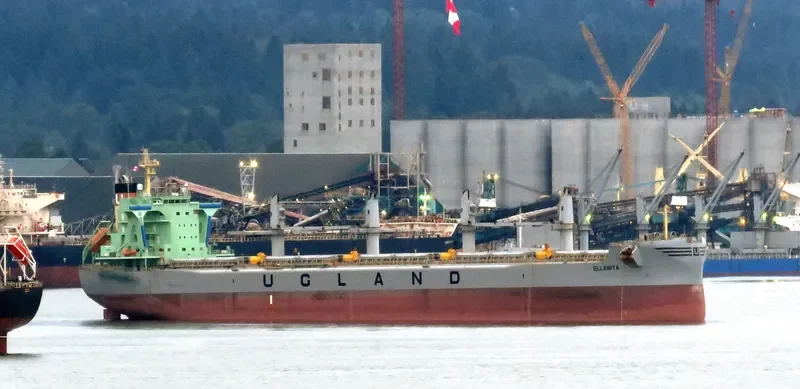 ELLENITA Bulk Carrier IMO 9685633 photo 9