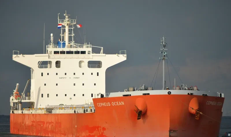 CEPHEUS OCEAN Bulk Carrier IMO 9686273 photo 6
