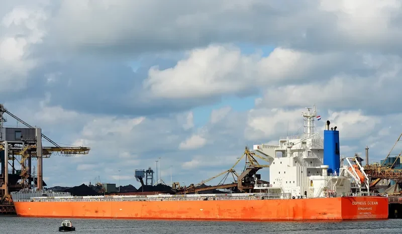 CEPHEUS OCEAN Bulk Carrier IMO 9686273 photo 8