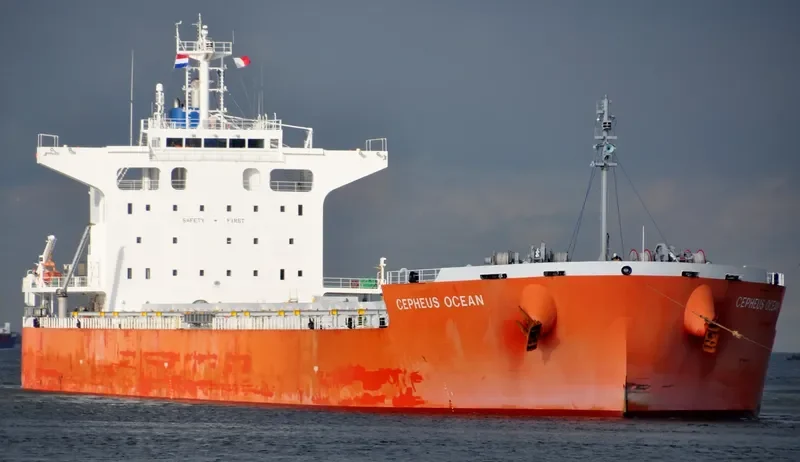 CEPHEUS OCEAN Bulk Carrier IMO 9686273 photo 10