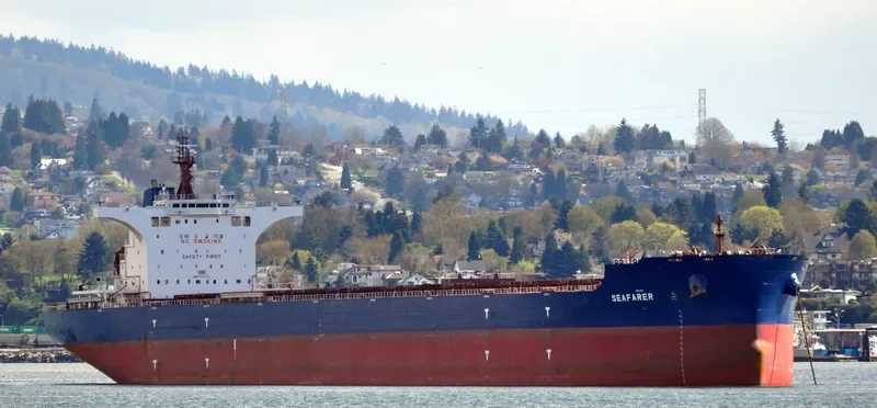 SEAFARER Bulk Carrier IMO 9686314