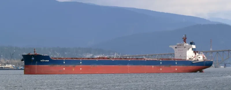 SEAFARER Bulk Carrier IMO 9686314 photo 3