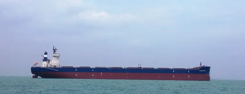 SEAFIGHTER Bulk Carrier IMO 9686326 photo 4