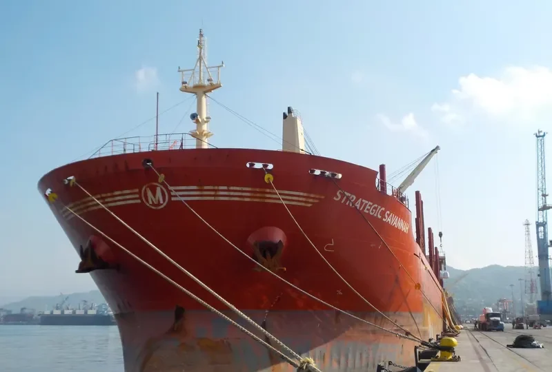 STRATEGIC SAVANNAH Bulk Carrier IMO 9686338