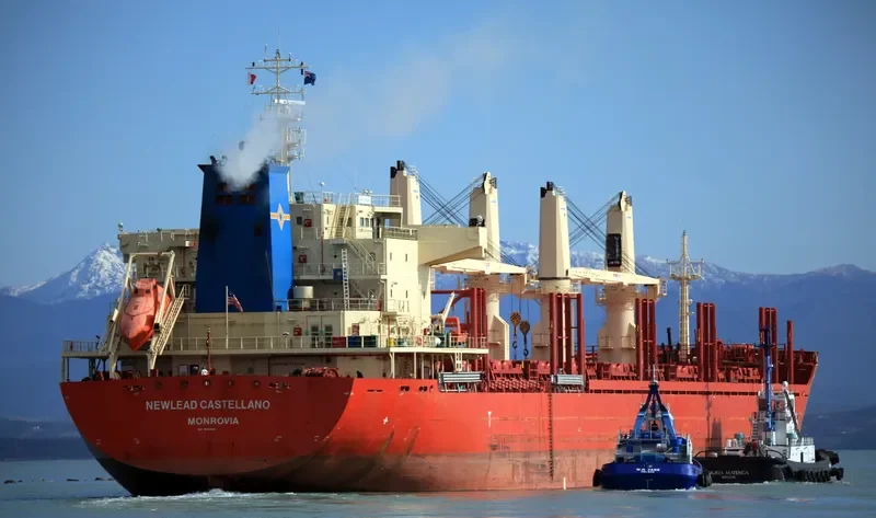 STRATEGIC SAVANNAH Bulk Carrier IMO 9686338 photo 3