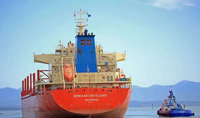 STRATEGIC SAVANNAH Bulk Carrier IMO 9686338 photo 4