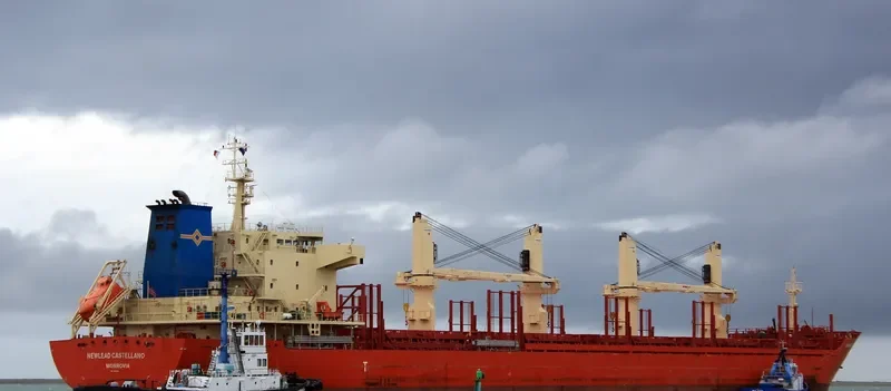 STRATEGIC SAVANNAH Bulk Carrier IMO 9686338 photo 9