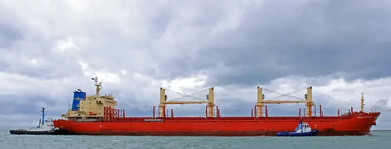 STRATEGIC SAVANNAH Bulk Carrier IMO 9686338 photo 10