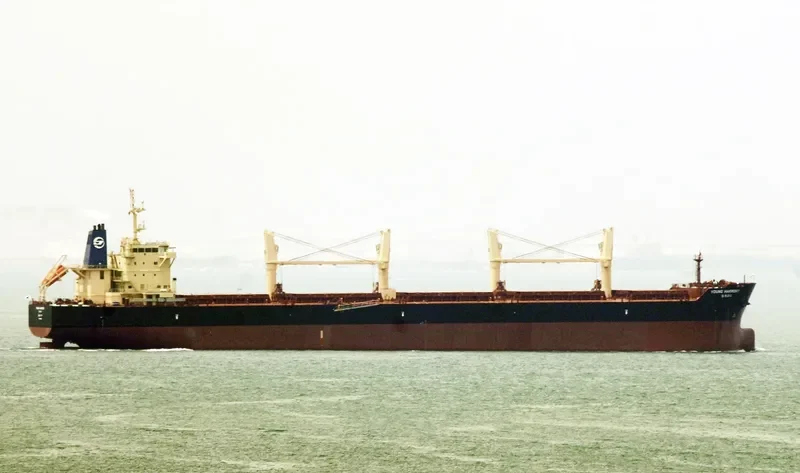 YOUNG HARMONY Bulk Carrier IMO 9686546