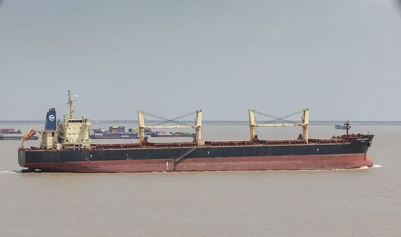 YOUNG HARMONY Bulk Carrier IMO 9686546 photo 2