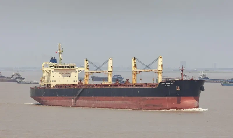 YOUNG HARMONY Bulk Carrier IMO 9686546 photo 3