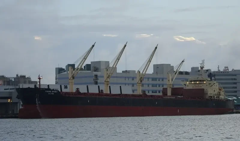 YOUNG SPIRIT Bulk Carrier IMO 9686558