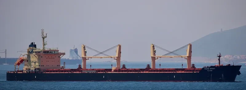 YOUNG SPIRIT Bulk Carrier IMO 9686558 photo 2