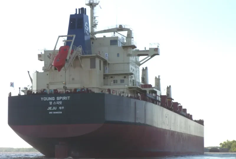 YOUNG SPIRIT Bulk Carrier IMO 9686558 photo 3