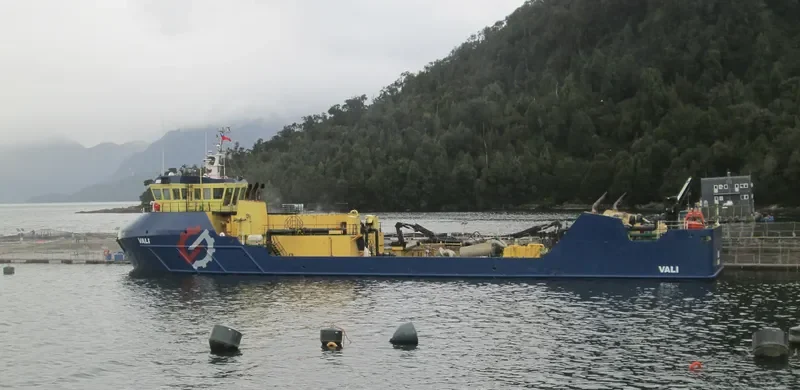 VALI General Cargo IMO 9686962