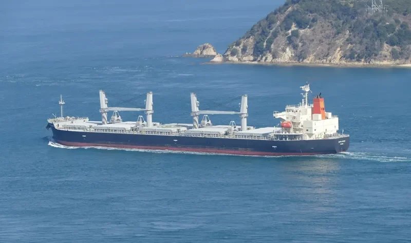 EARTH OCEAN Bulk Carrier IMO 9687069