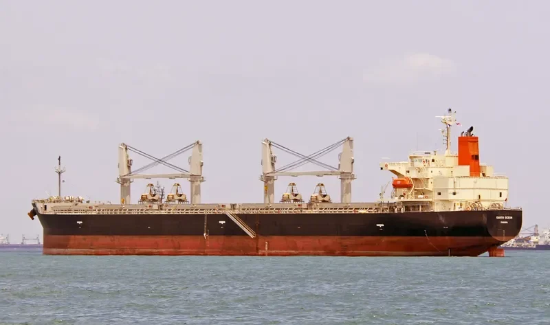 EARTH OCEAN Bulk Carrier IMO 9687069 photo 2