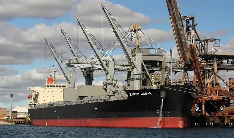 EARTH OCEAN Bulk Carrier IMO 9687069 photo 3