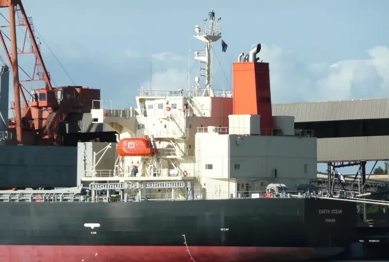 EARTH OCEAN Bulk Carrier IMO 9687069 photo 4