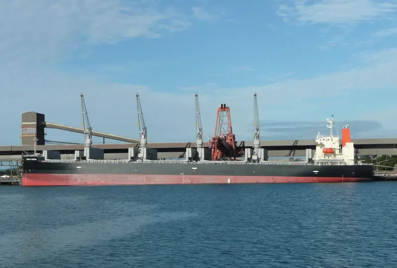 EARTH OCEAN Bulk Carrier IMO 9687069 photo 5