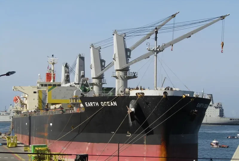 EARTH OCEAN Bulk Carrier IMO 9687069 photo 8
