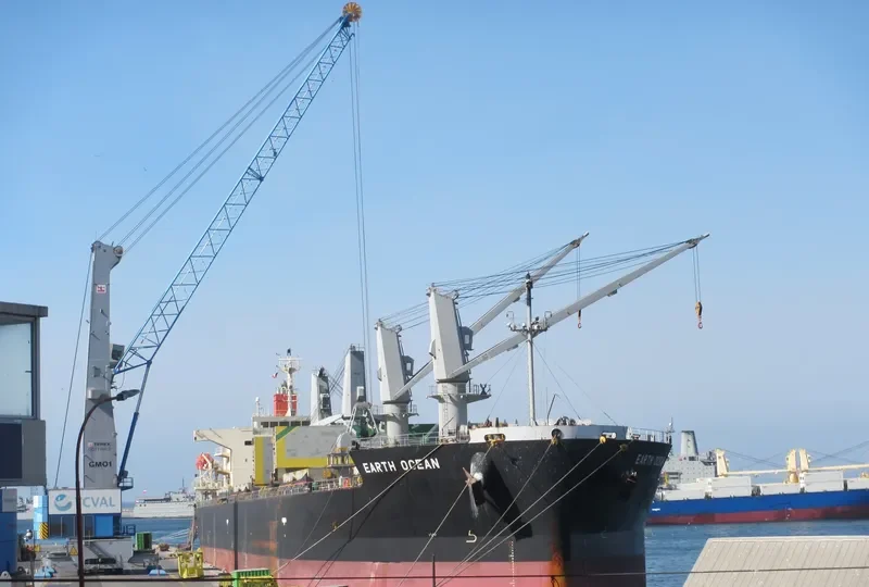 EARTH OCEAN Bulk Carrier IMO 9687069 photo 9