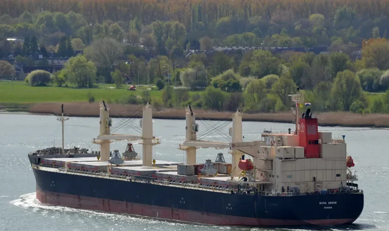 BUNA ARROW Bulk Carrier IMO 9687071