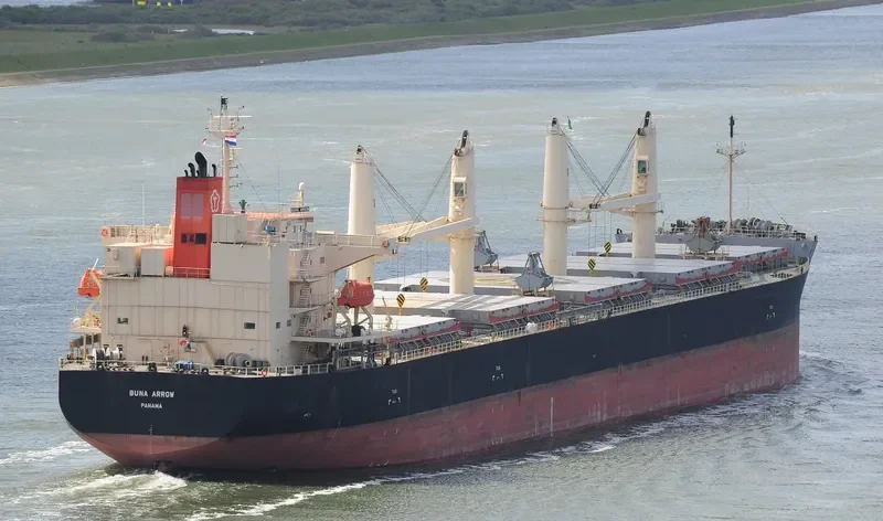 BUNA ARROW Bulk Carrier IMO 9687071 photo 2