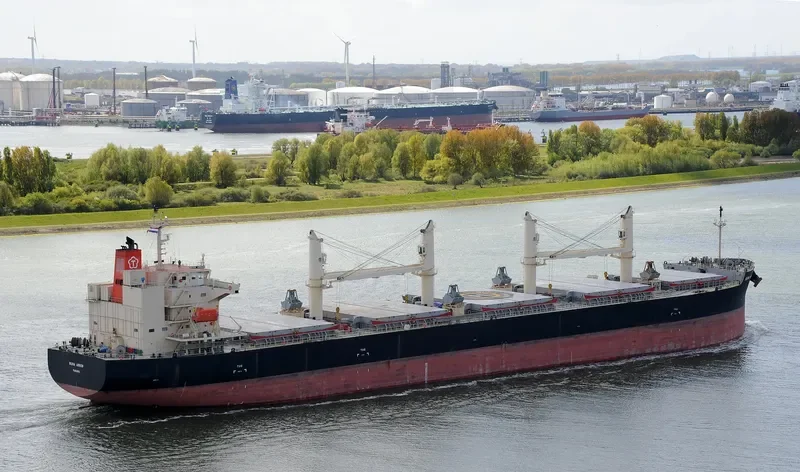 BUNA ARROW Bulk Carrier IMO 9687071 photo 3