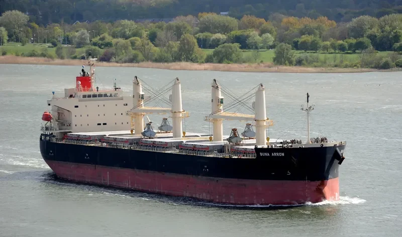 BUNA ARROW Bulk Carrier IMO 9687071 photo 5