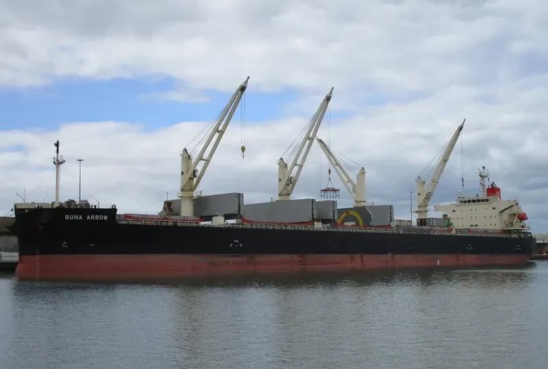 BUNA ARROW Bulk Carrier IMO 9687071 photo 6