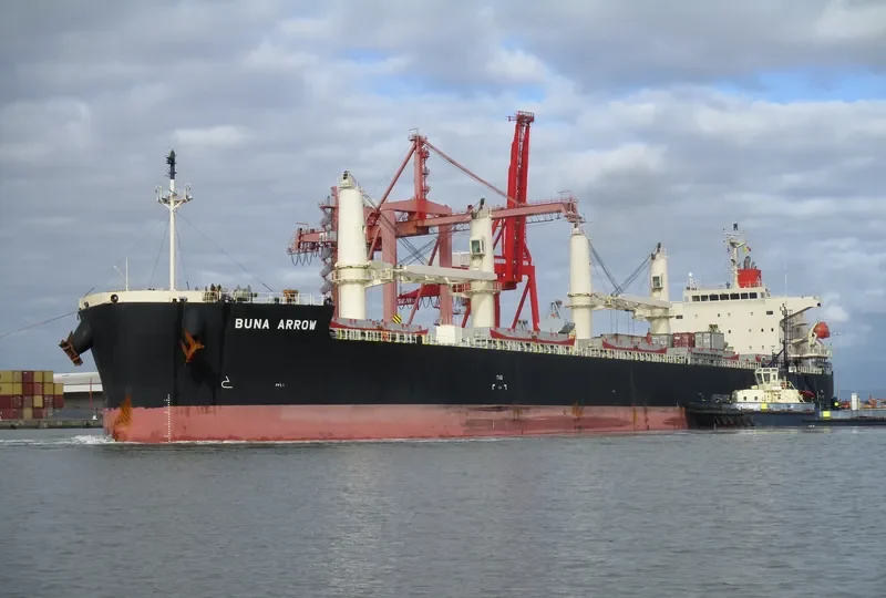 BUNA ARROW Bulk Carrier IMO 9687071 photo 7