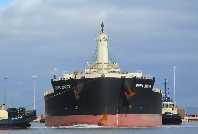 BUNA ARROW Bulk Carrier IMO 9687071 photo 8